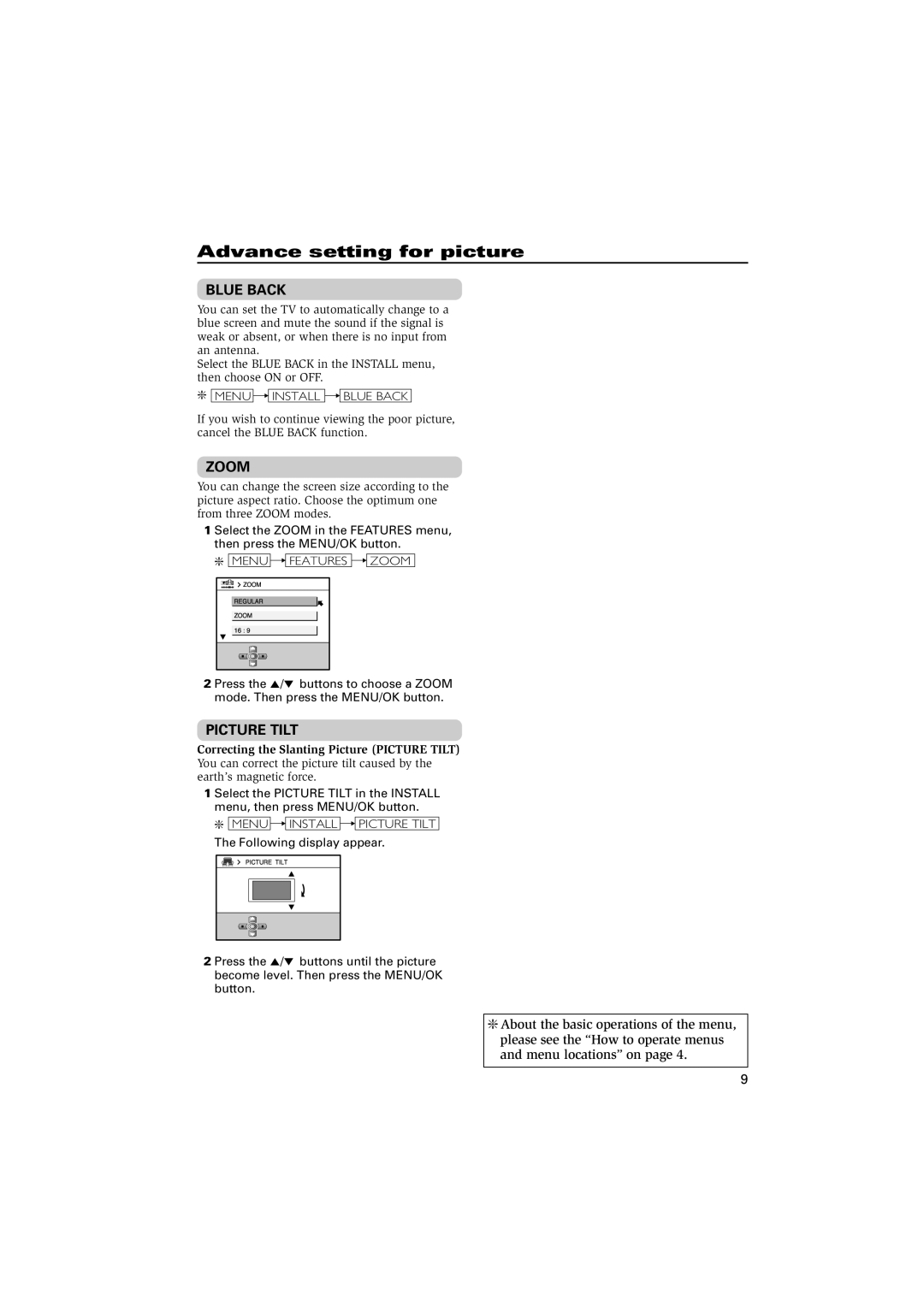 JVC HV-29VL15, GGT0087-001A-H specifications Advance setting for picture, Blue Back, Zoom, Picture Tilt 