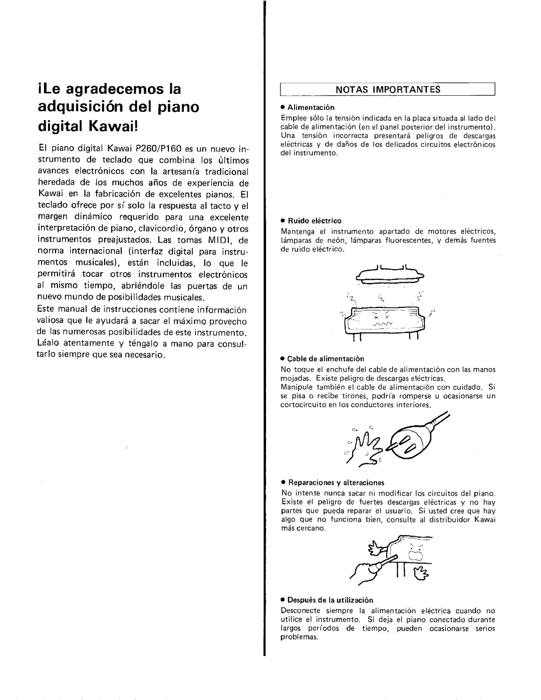 Kawai P160, P260 manual 