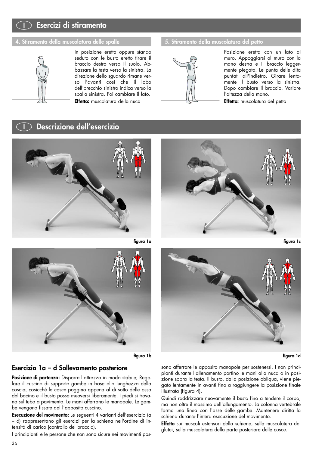 Kettler 07820-400 manual Descrizione dell’esercizio, Esercizio 1a d Sollevamento posteriore, Effetto muscolatura della nuca 