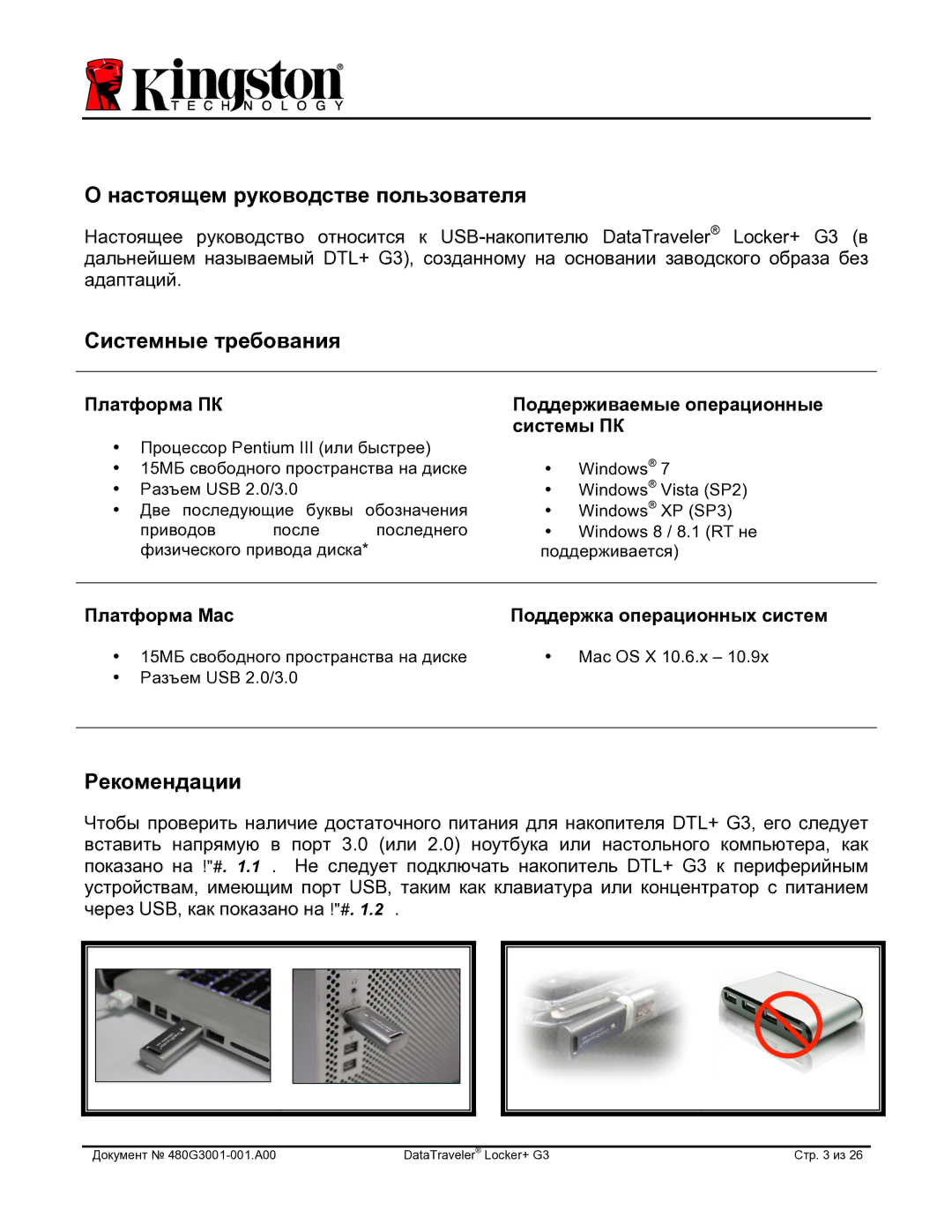 Kingston Technology DTLPG3 manual Настоящем руководстве пользователя, Системные требования, Рекомендации 