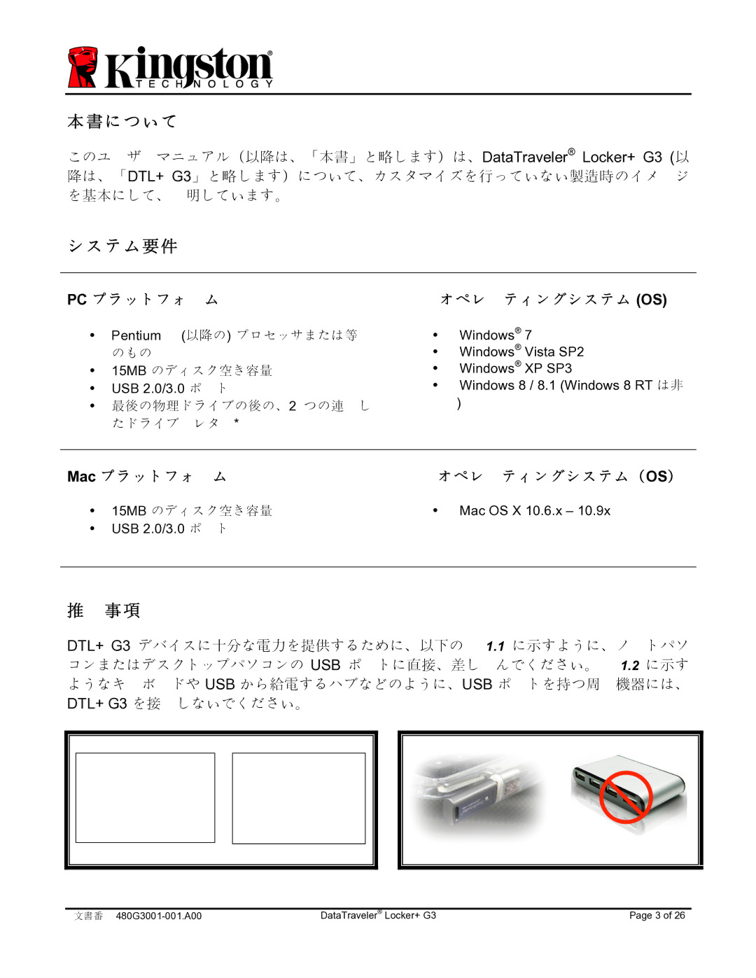 Kingston Technology DTLPG3 manual 本書について 