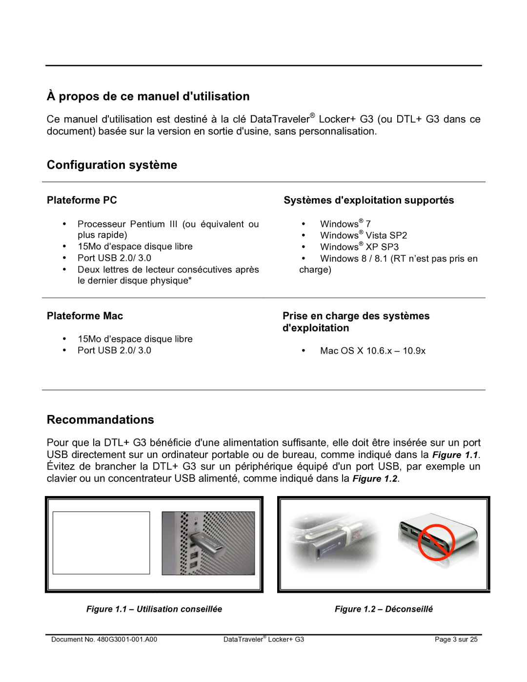 Kingston Technology DTLPG3 manual Propos de ce manuel dutilisation, Configuration système, Recommandations 