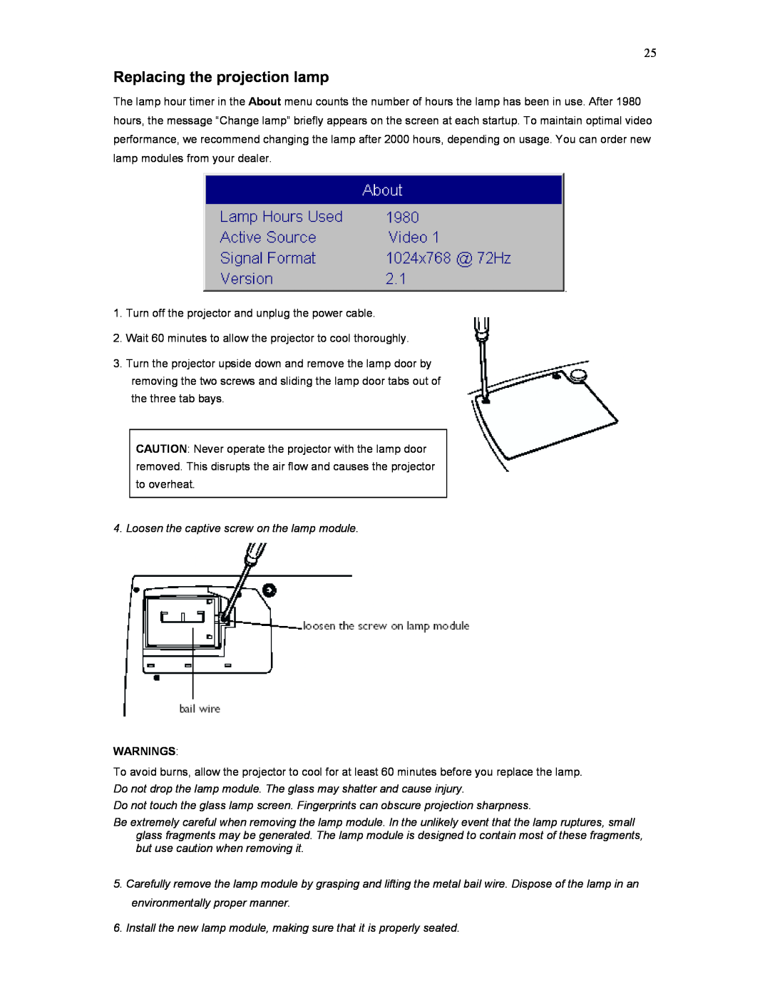 Knoll Systems HD177 user manual Replacing the projection lamp, Warnings 