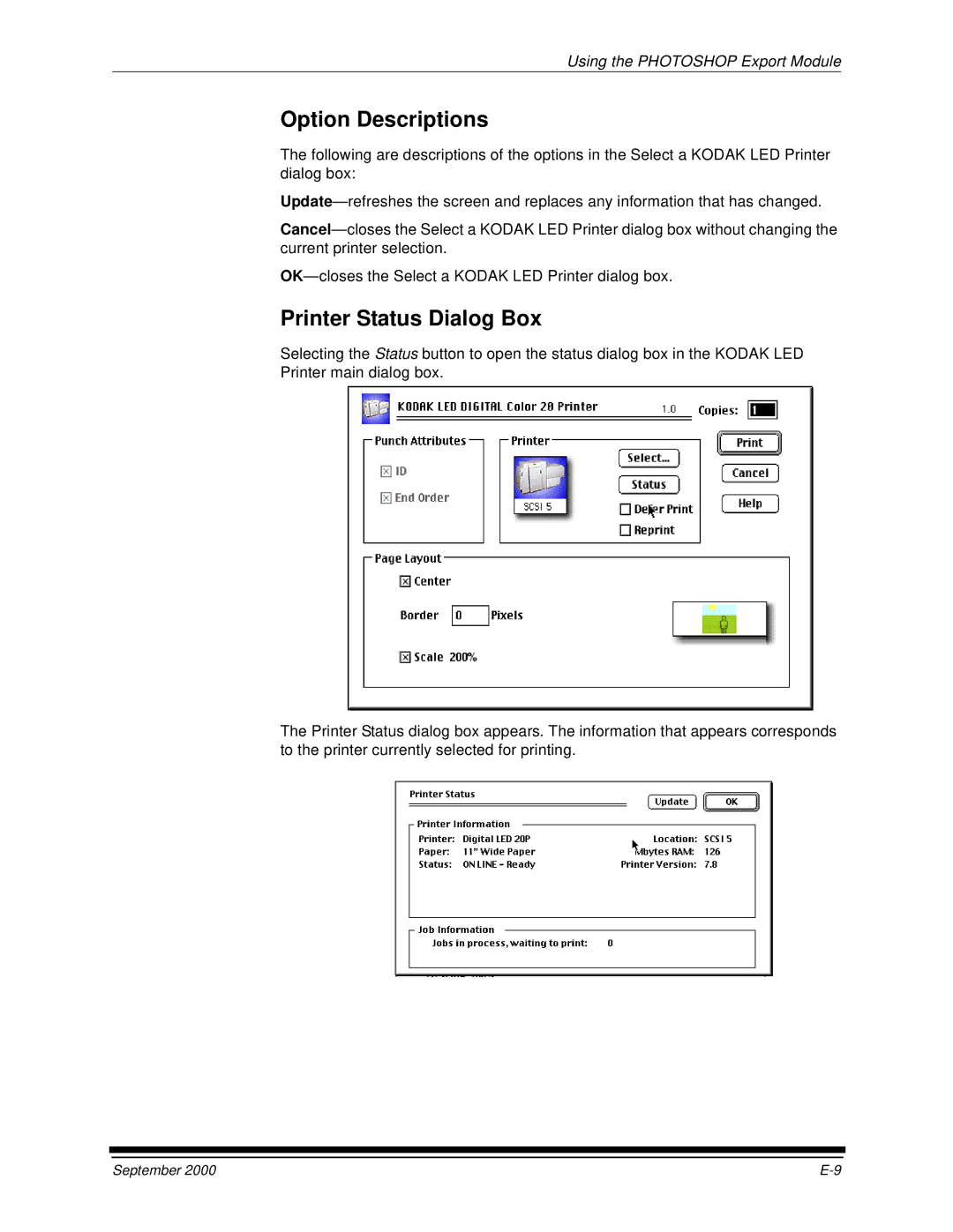 Kodak 20P manual Option Descriptions, Printer Status Dialog Box 