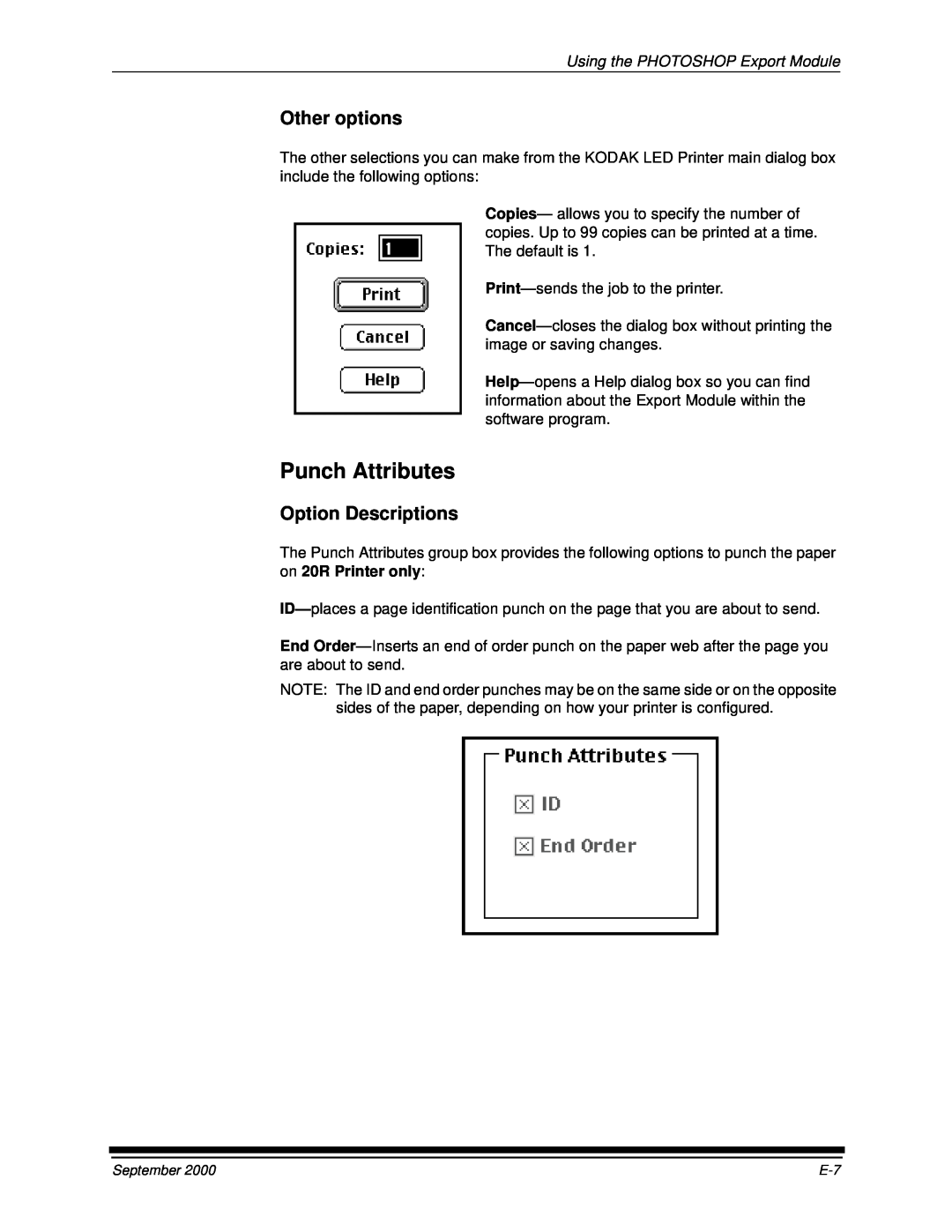 Kodak 20P manual Punch Attributes, Other options, Option Descriptions, Using the PHOTOSHOP Export Module 