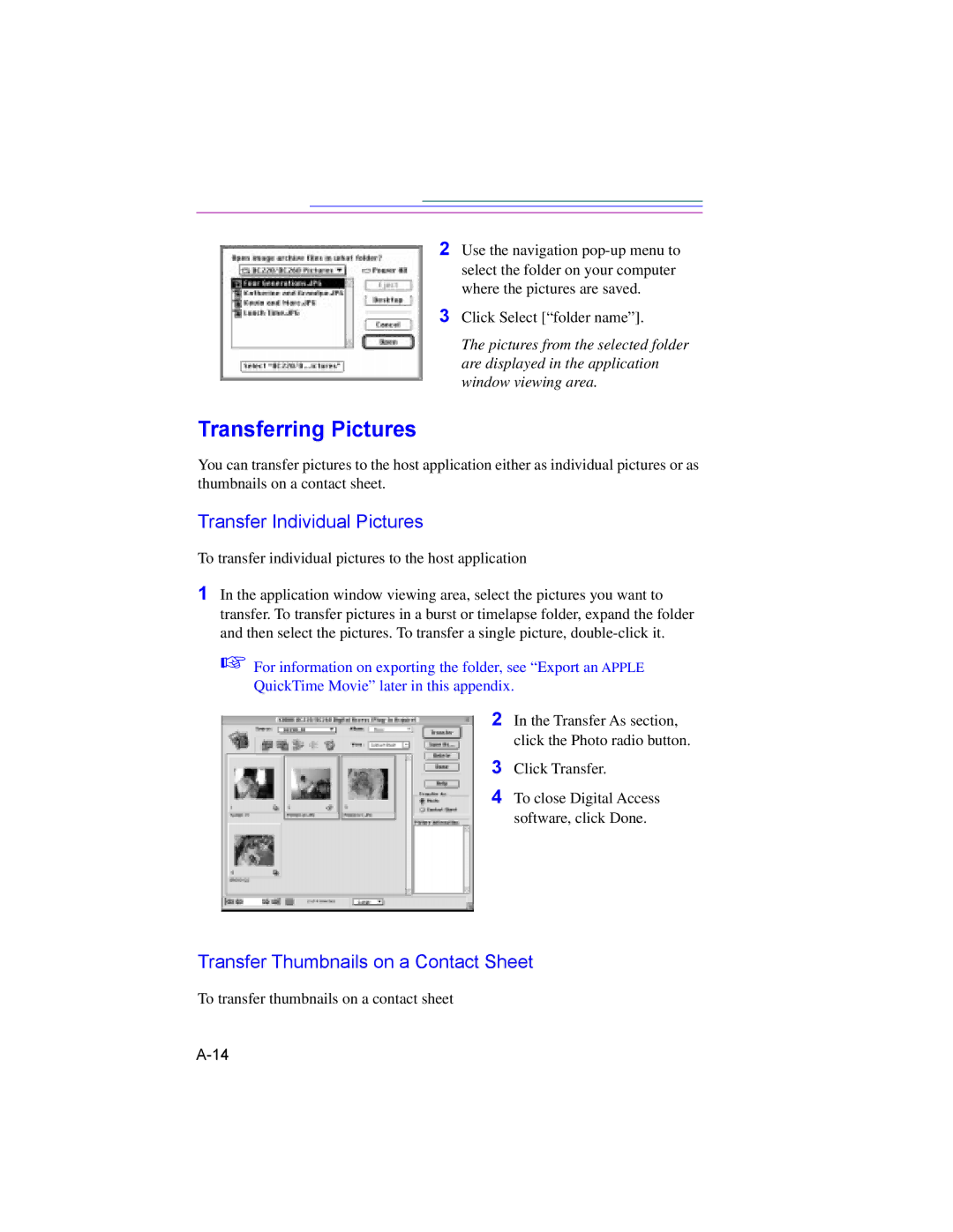 Kodak DC260, DC220 manual Transfer Individual Pictures, Transfer Thumbnails on a Contact Sheet 