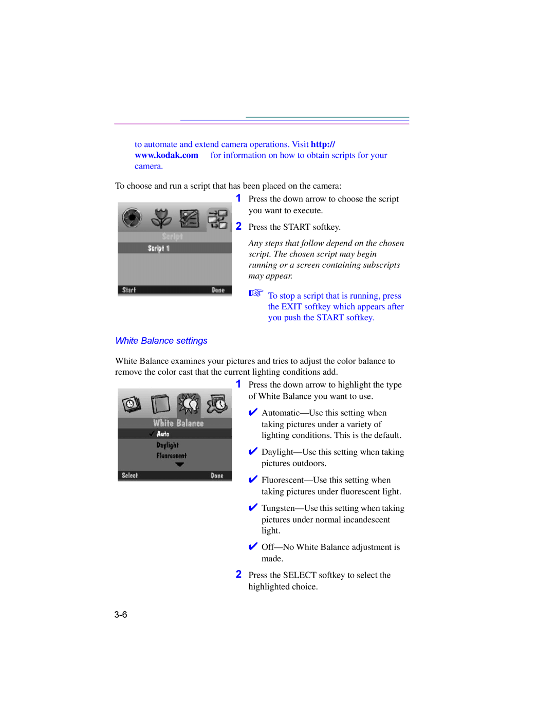 Kodak DC220, DC260 manual White Balance settings 