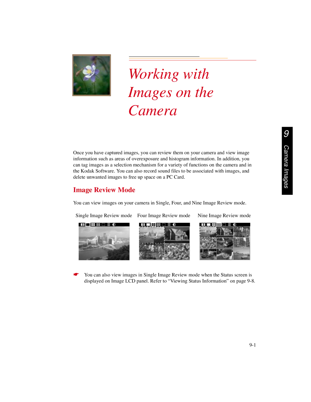 Kodak DCS300 manual Working with Images on Camera, Image Review Mode 