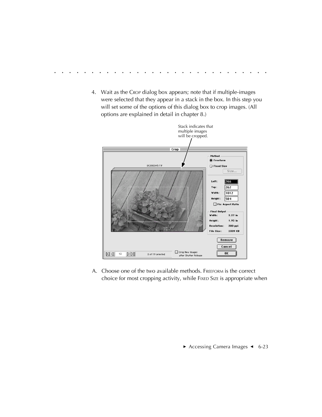 Kodak EOSDCS 3, EOSDCS 5, EOSDCS 1 user manual Stack indicates that multiple images will be cropped 