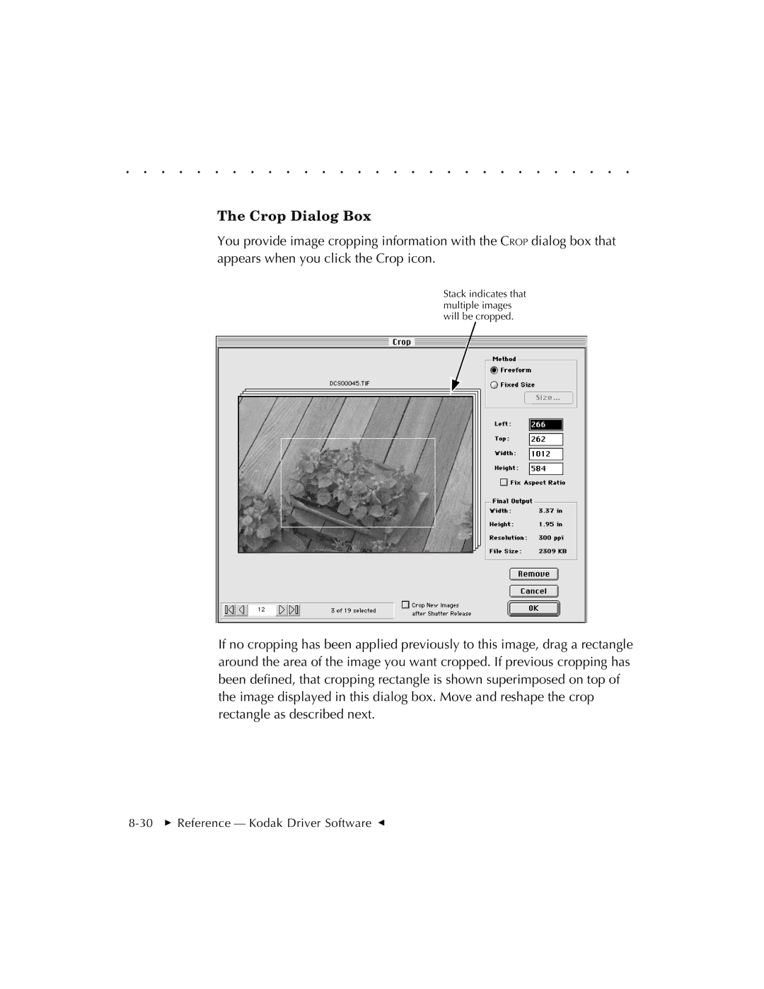 Kodak EOSDCS 1, EOSDCS 5, EOSDCS 3 user manual Crop Dialog Box 