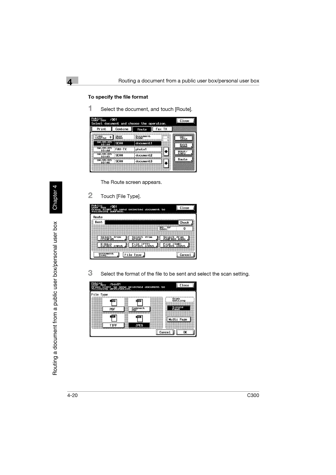 Konica Minolta bizhub C300 manual To specify the file format 