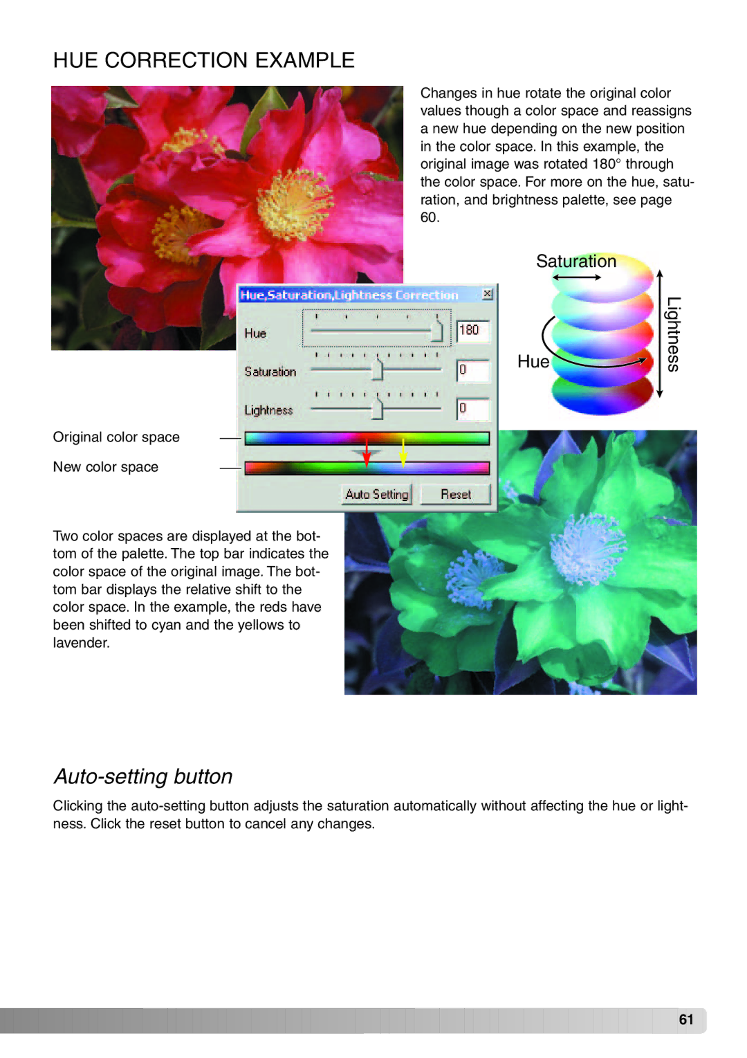 Konica Minolta DiMAGE Viewer instruction manual HUE Correction Example, Auto-setting button 