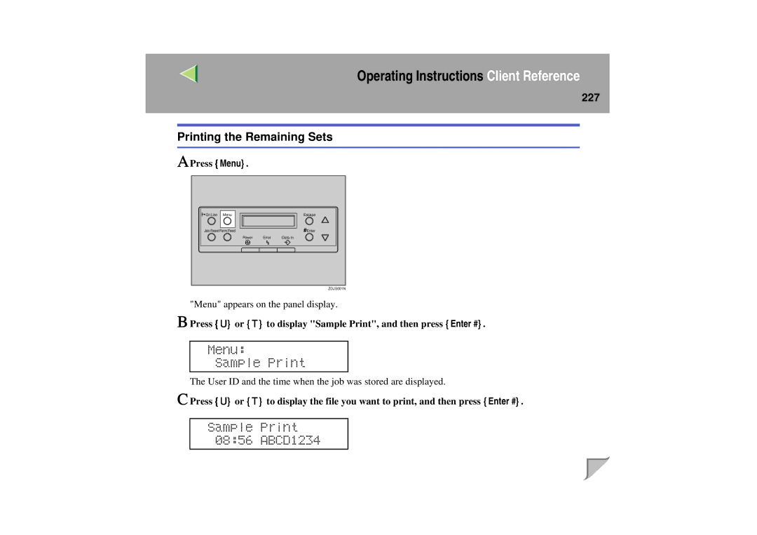 Lanier LP 036c operating instructions Printing the Remaining Sets, 227 