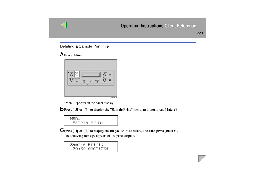 Lanier LP 036c operating instructions Deleting a Sample Print File, 229 