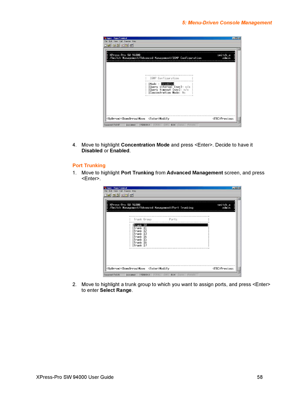 Lantronix SW 94000 manual Port Trunking 