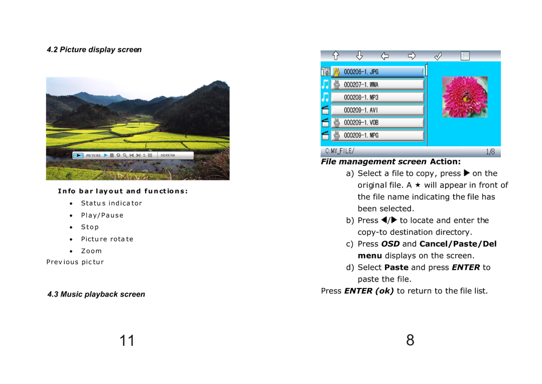 Laser AO-DPF10, AM104L2007032801 user manual File management screen Action 