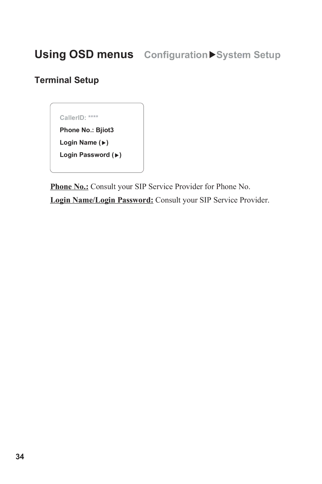 Lead Data BVP 8882 SIP manual Terminal Setup 