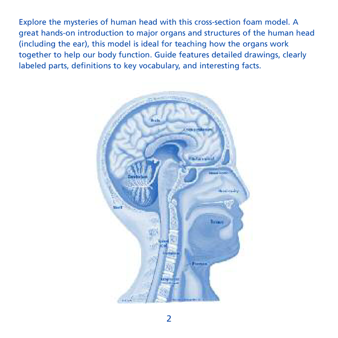 Learning Resources LER 1909 manual 