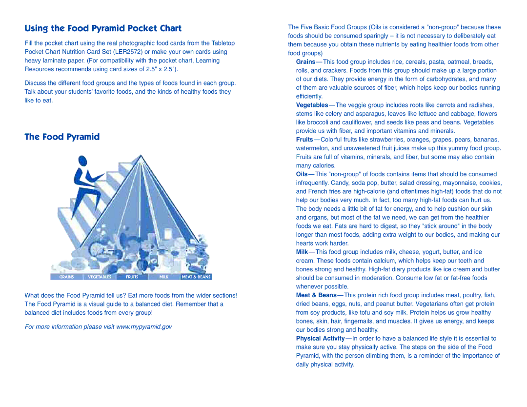 Learning Resources LER 2493 manual Using the Food Pyramid Pocket Chart 