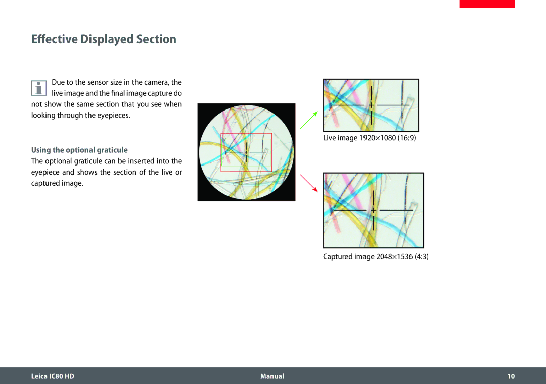 Leica IC80 HD manual Effective Displayed Section, Looking through the eyepieces Live image 1920×1080 