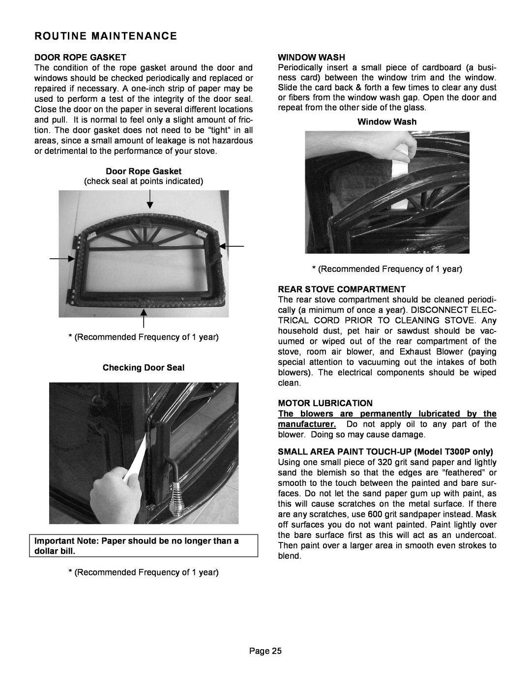 Lennox Hearth T300P operation manual Routine Maintenance, Door Rope Gasket 