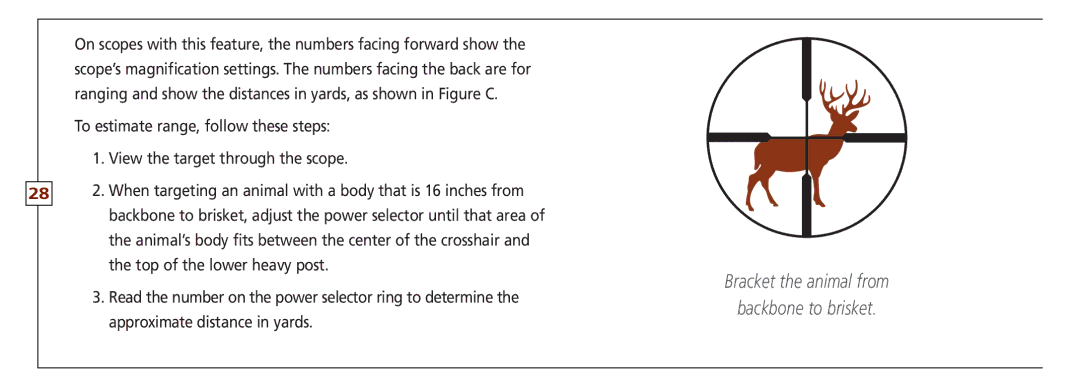 Leupold VX-II, FX-ll, FX-I, FX-3, FXTM-I, VX-3 owner manual Bracket the animal from Backbone to brisket 