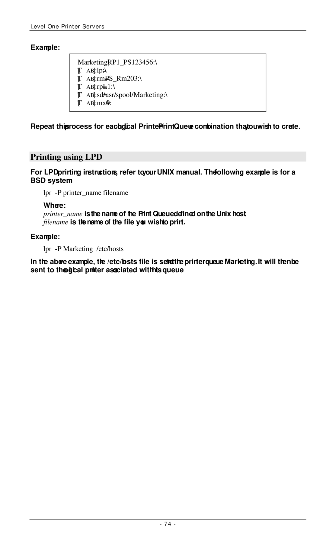 LevelOne FPS-3002USB, FPS-2112, FPS-3001TXU manual Printing using LPD 