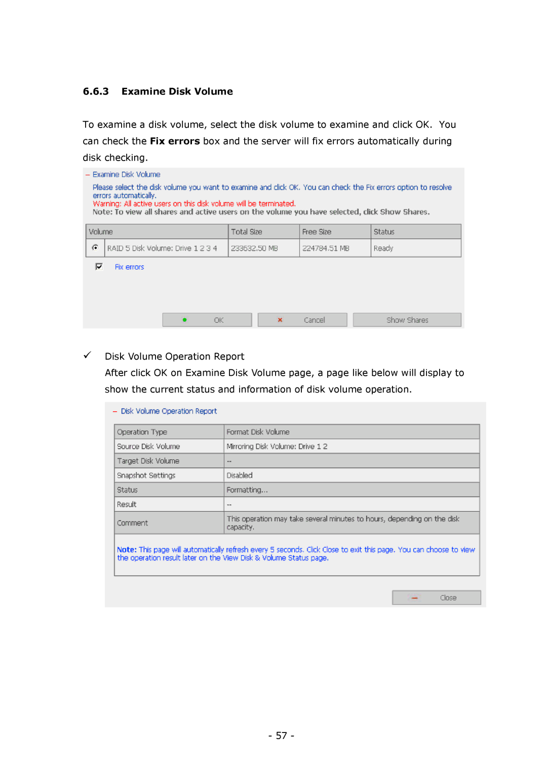 LevelOne GNS-8000B user manual Examine Disk Volume 