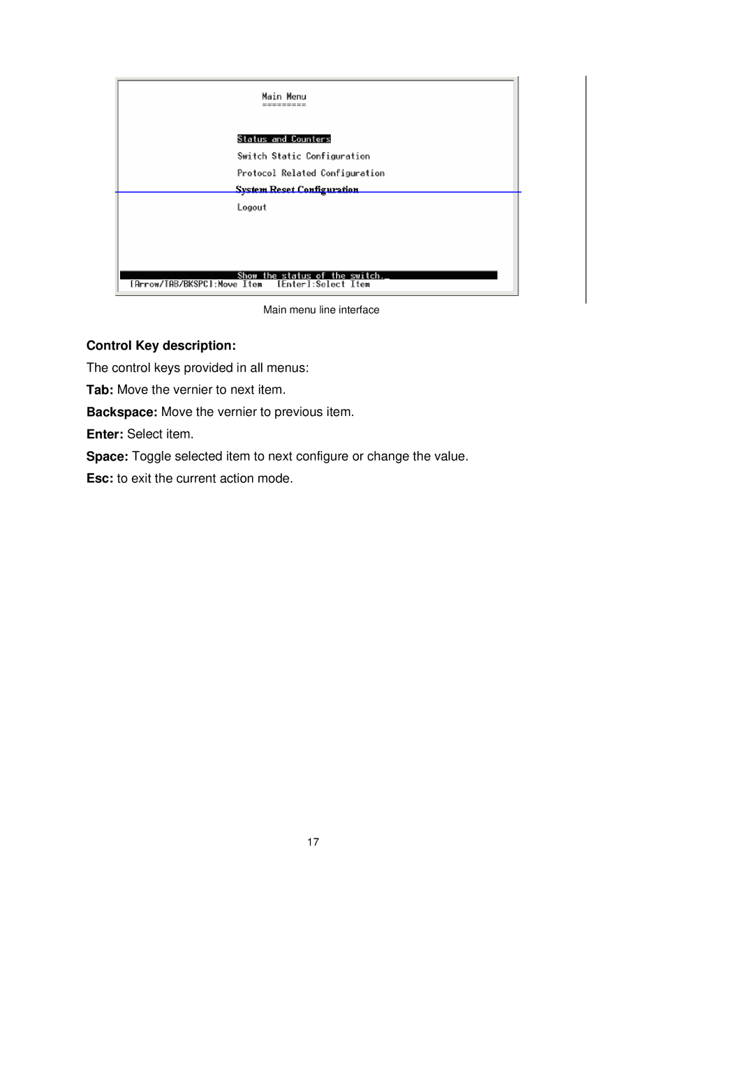 LevelOne GSW-2491TXM user manual Control Key description 