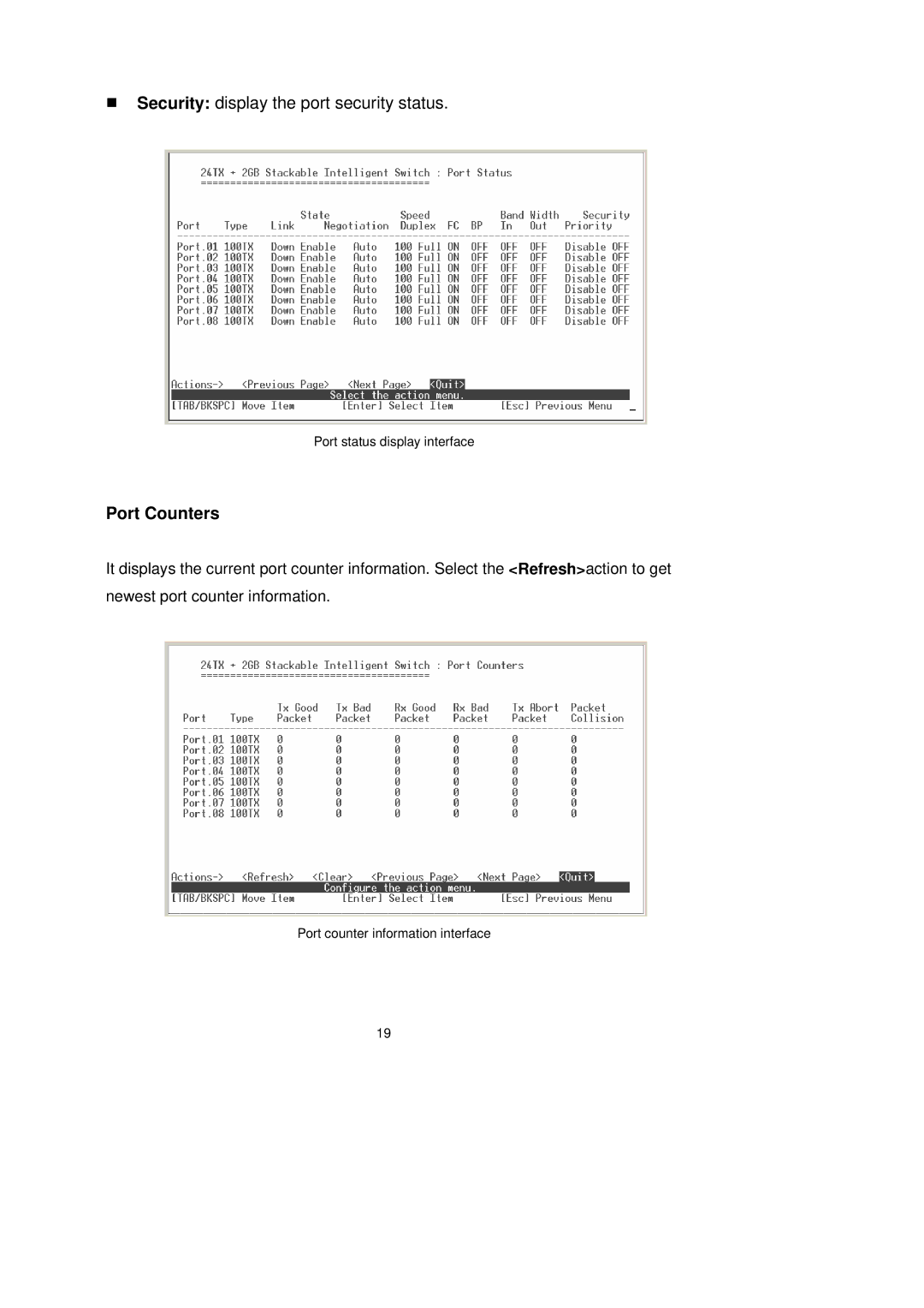 LevelOne GSW-2491TXM user manual Port Counters 