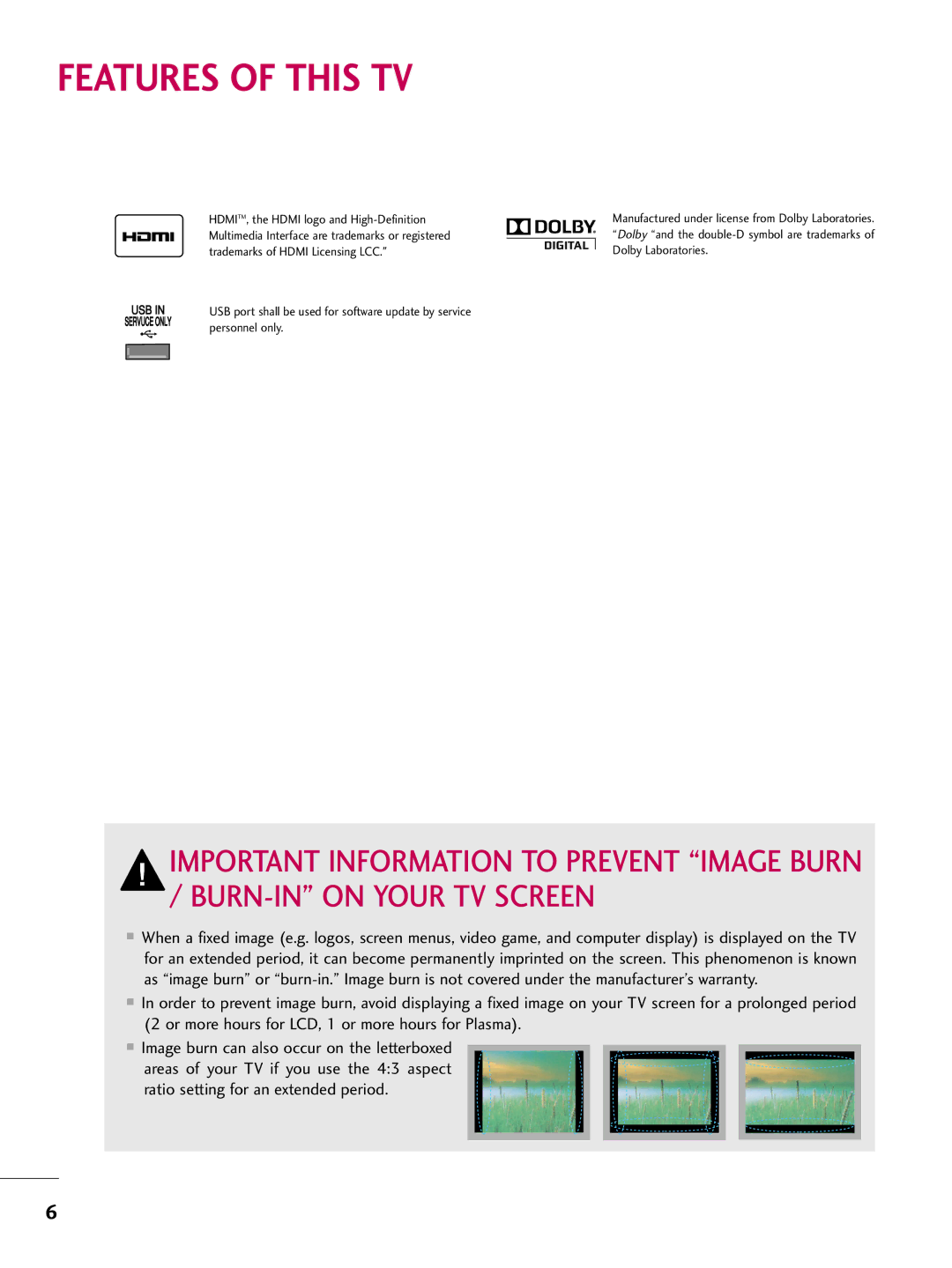 LG Electronics 22LG3DDH owner manual Features of this TV, BURN-IN on Your TV Screen 