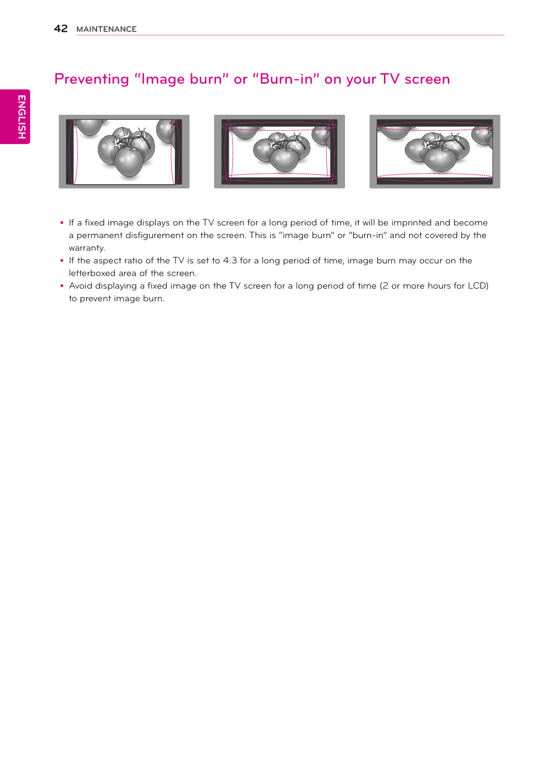 LG Electronics 22MA33V, 24MN33V, 24MN33D, 22MA33D, 29MN33D, 26MA33D, 26MA33V Preventing Image burn or Burn-in on your TV screen 