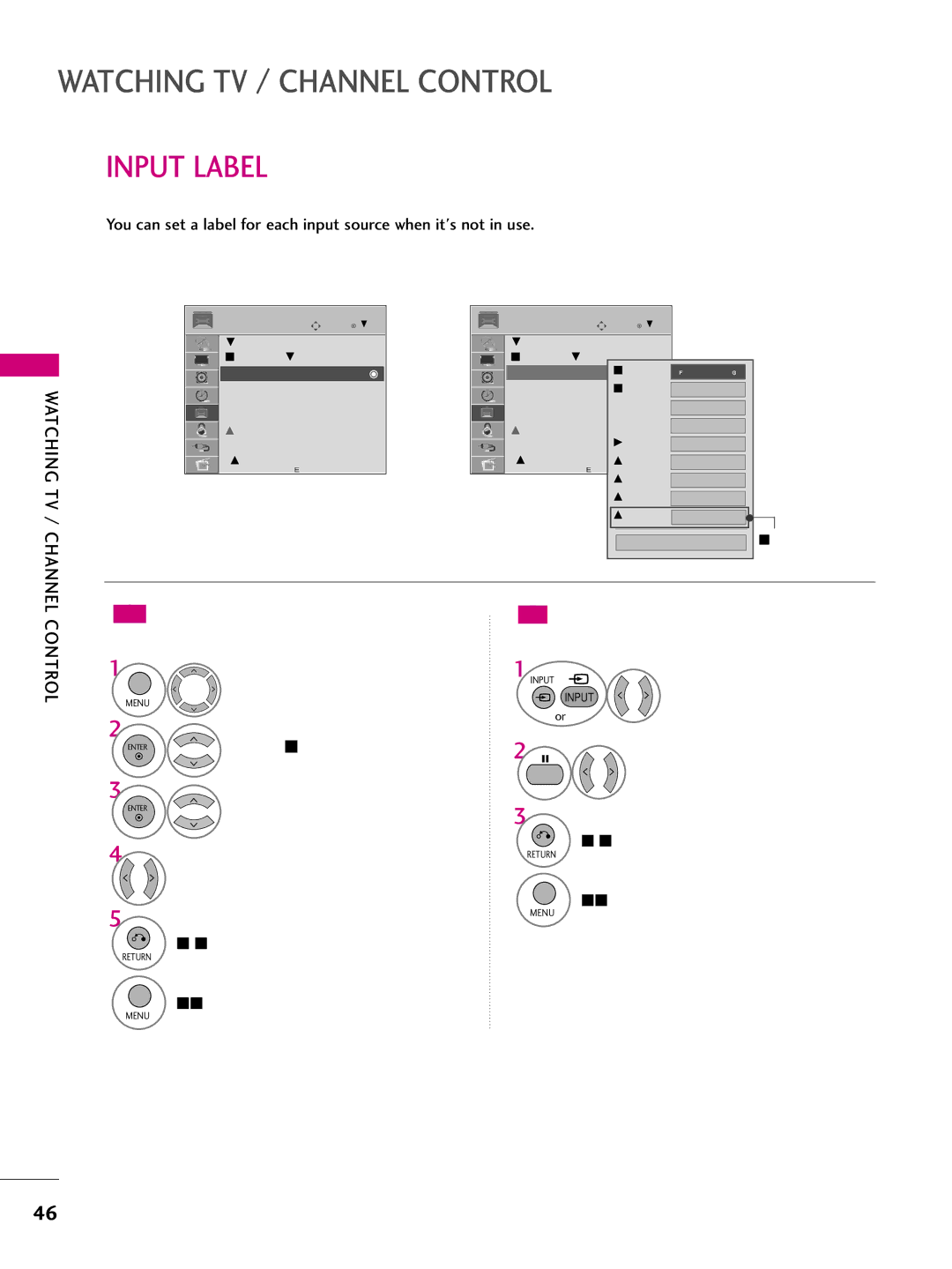 LG Electronics 50PS60, 42PQ30, 42PQ20, 42PQ60, 50PS30, 50PQ20 Input Label, With using Option menu, With using Input button 