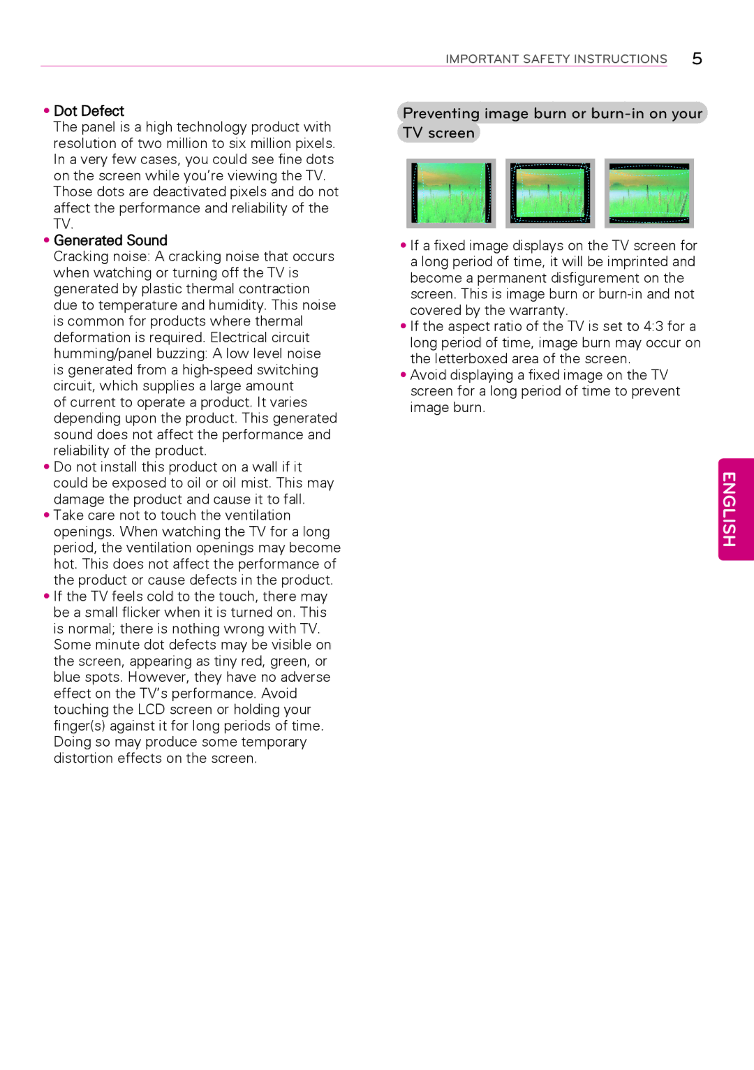 LG Electronics 47LY570H, 47LY560H, 39LY560H, 32LY560H Preventing image burn or burn-in on your TV screen, Dot Defect 