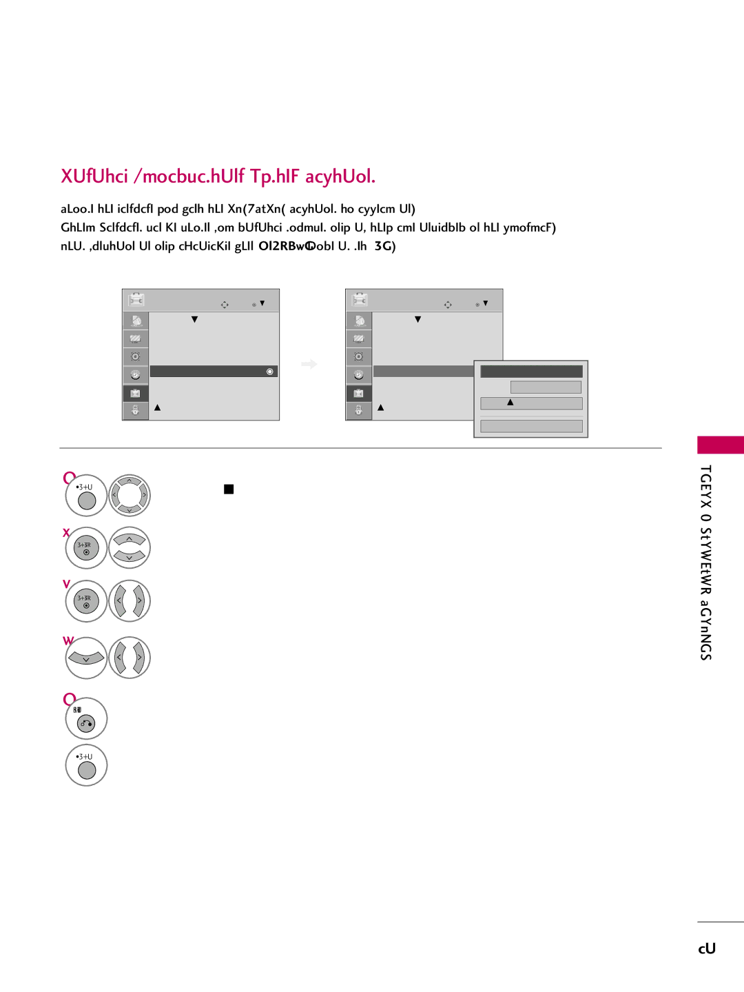 LG Electronics 60PG30C, 42PG20C, 50PG30C Digital Broadcasting System Captions, Select CC1-4, Text1-4, or Service1 