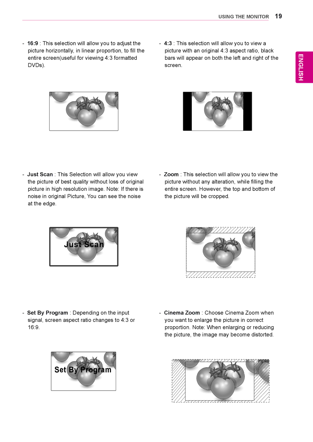 LG Electronics 55LS35A, 65LS33A, 55LS33A, 42LS33A, 32LS33A, 42LS35A, 47LS35A, 47LS33A owner manual Just Scan, Set By Program 