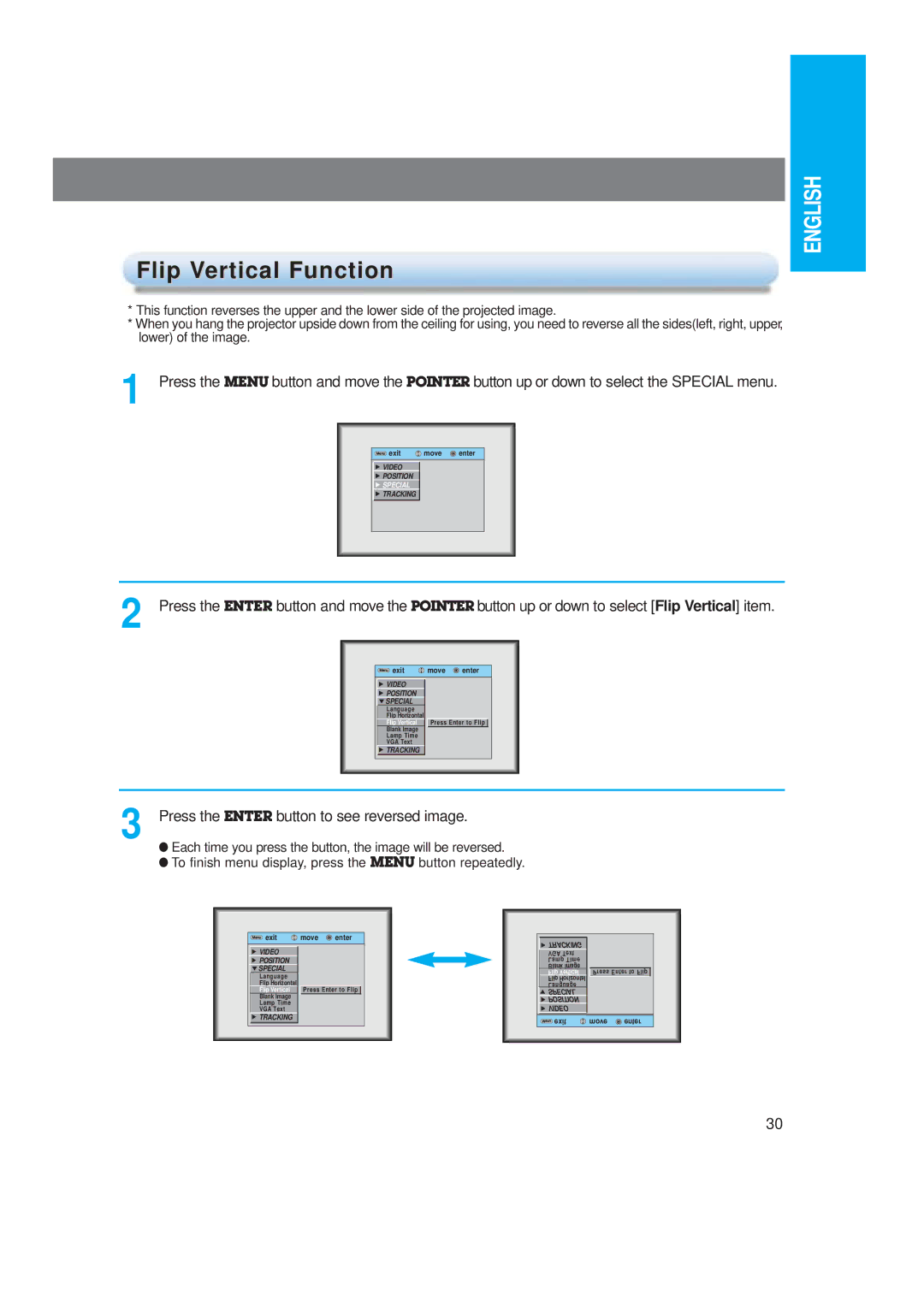 LG Electronics LP-XG2 owner manual Flip Vertical Function 