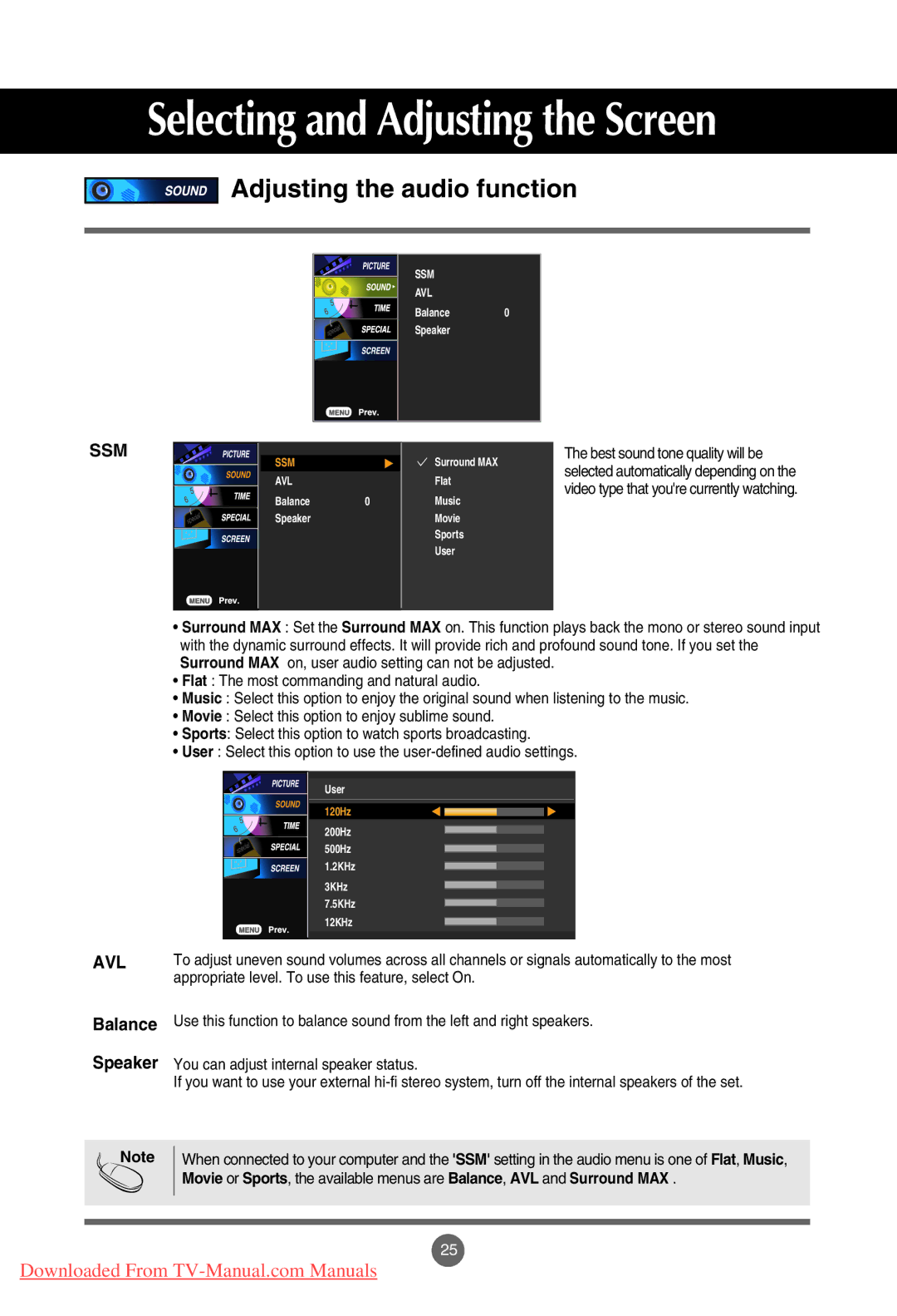 LG Electronics M3201C, M4201C, M3701C manual Selecting and Adjusting the Screen, Adjusting the audio function 