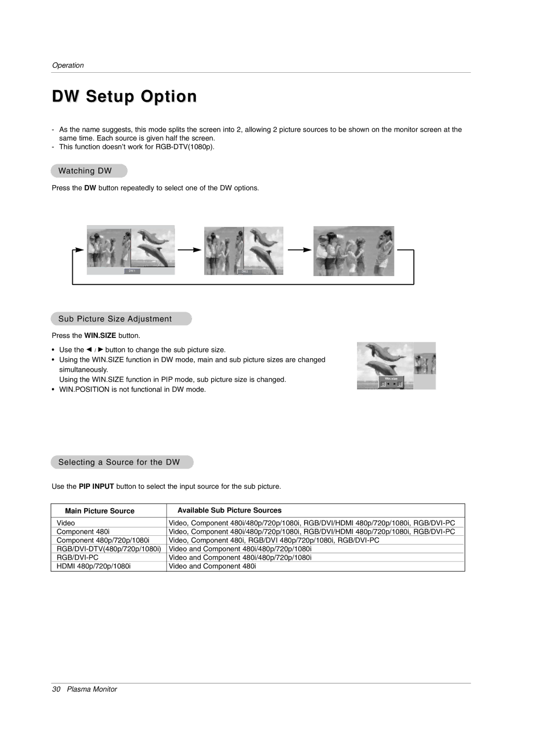 LG Electronics MW 71PY10 DW Setup Option, Watching DW, Sub Picture Size Adjustment, Selecting a Source for the DW 