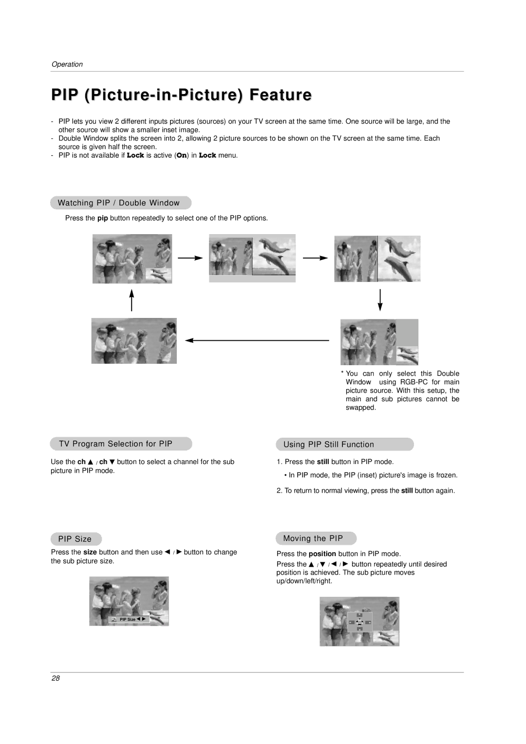 LG Electronics RU-23LZ20,RU-23LZ21, RU-23LZ22, RU-17LZ20, RU-17LZ21, RU-17LZ22 owner manual PIP Picture-in-Picture Feature 