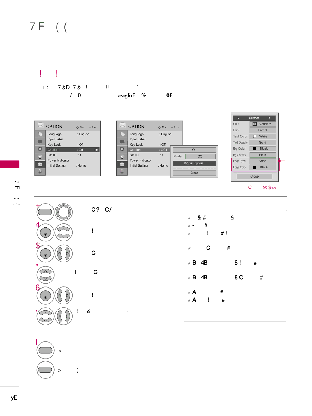 LG Electronics SAC30708022 owner manual Caption Option, Digital Option, Custom G 