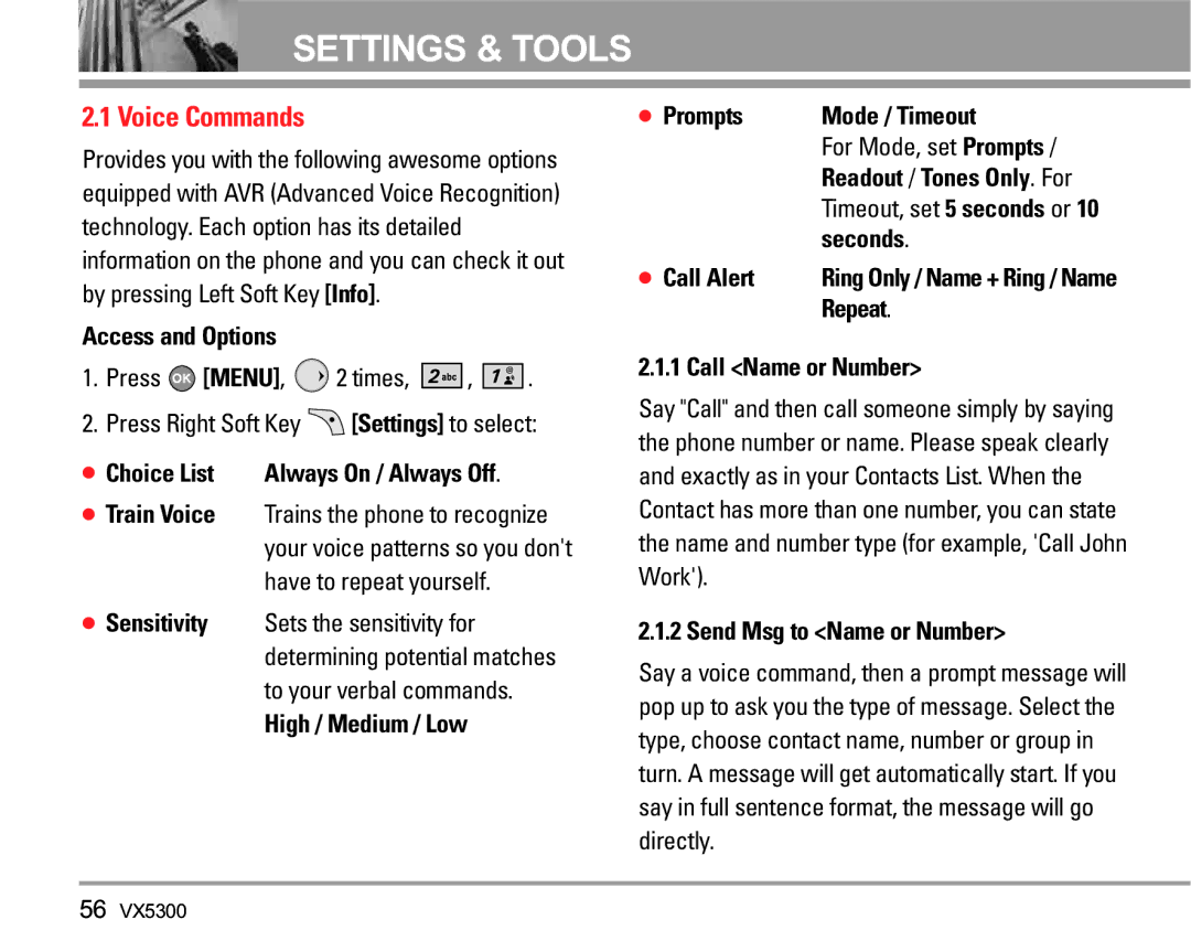 LG Electronics VX5300 manual Voice Commands 