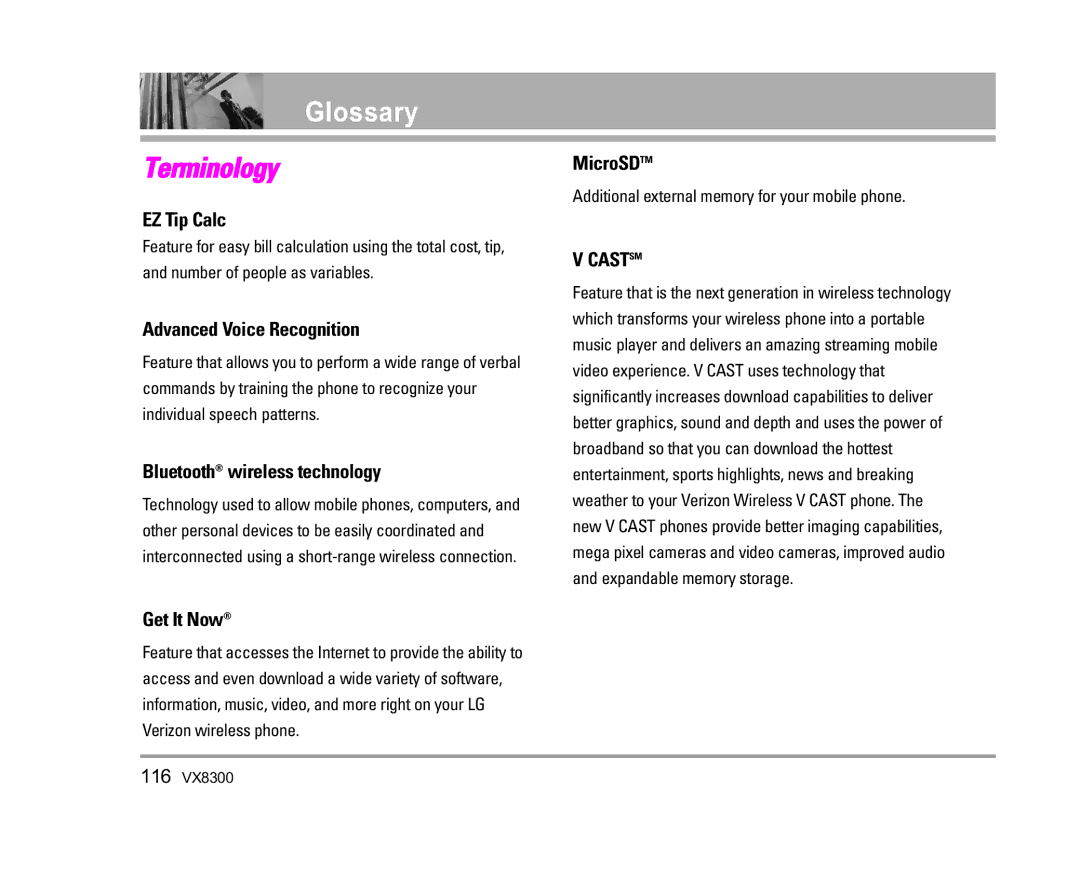 LG Electronics VX8300 manual Glossary 