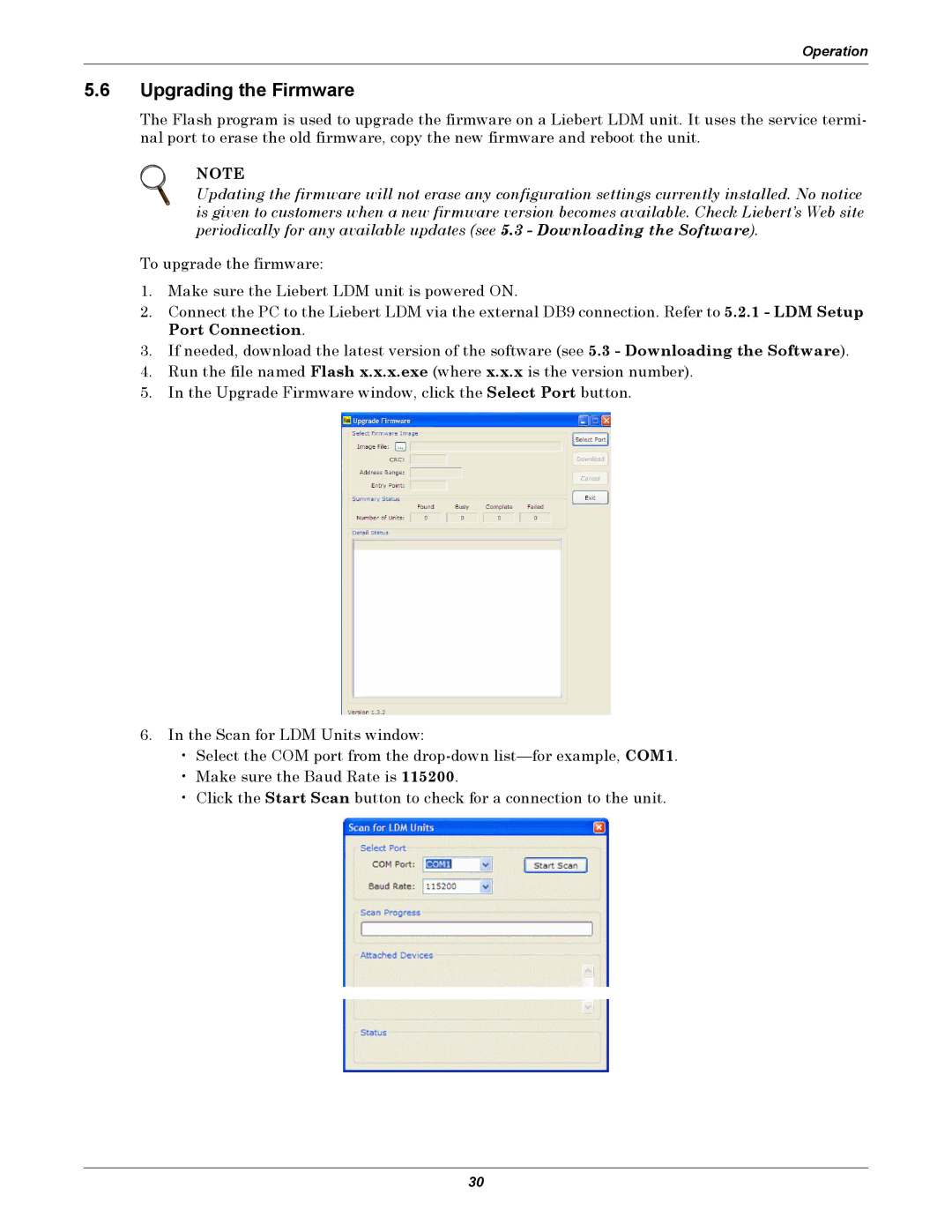 Liebert LDM user manual Upgrading the Firmware 