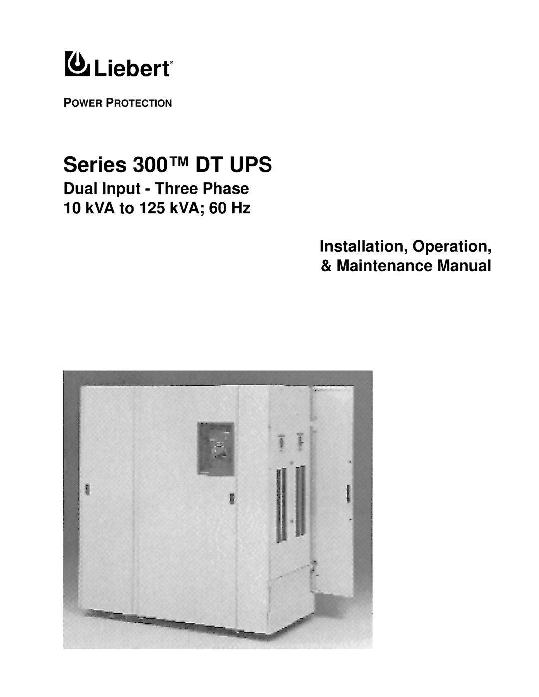 Liebert manual Series 300 DT UPS 