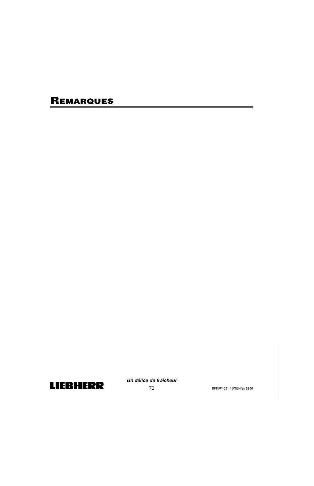 Liebherr BFI1051, BF1051 installation instructions Remarques 