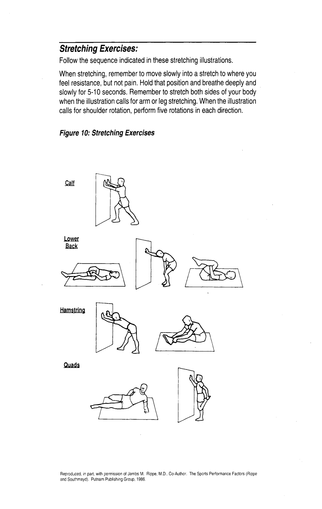 Life Fitness 3500 manual 