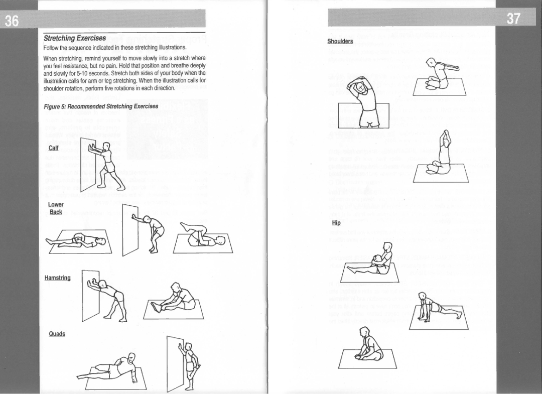 Life Fitness 5500 manual Recommended Stretching Exercises 