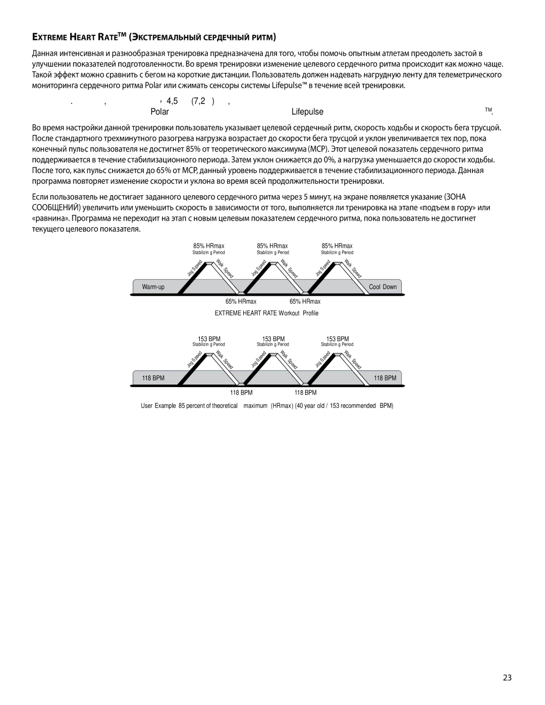 Life Fitness A386, 00K58 manual Extreme Heart RateTM Экстремальный сердечный ритм 