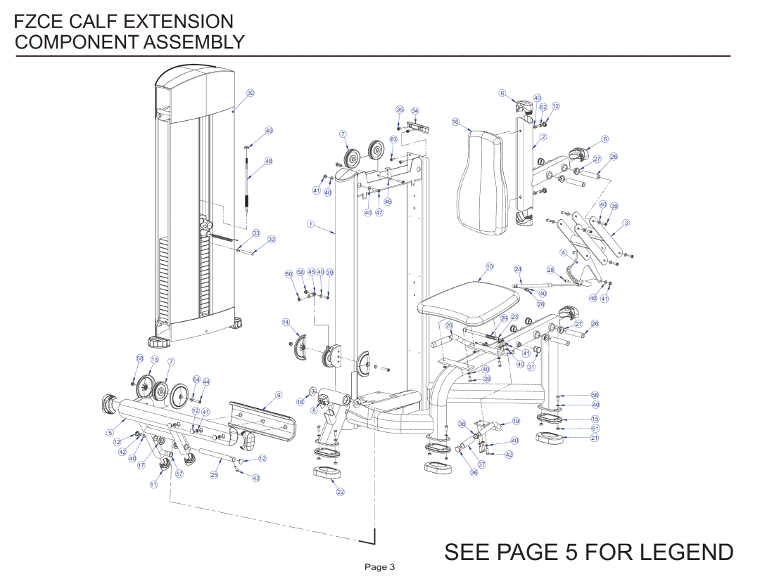 Life Fitness FZCE manual See page 5 for Legend 